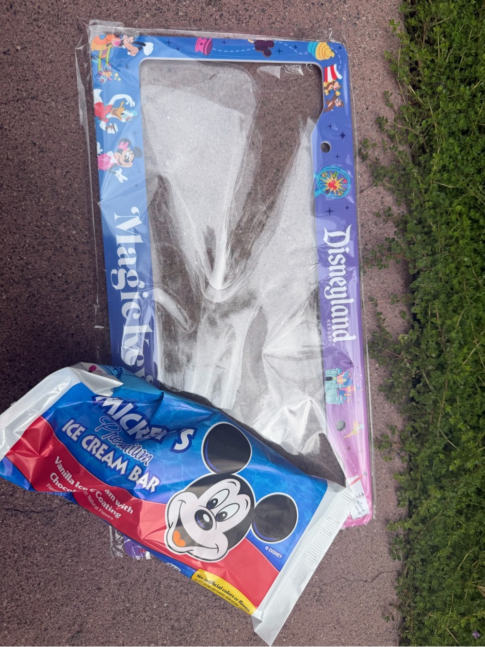 Disneyland Magic Key license Holder Blue/Purple